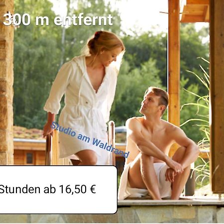 Studio Am Waldrand Wadgassen Bagian luar foto