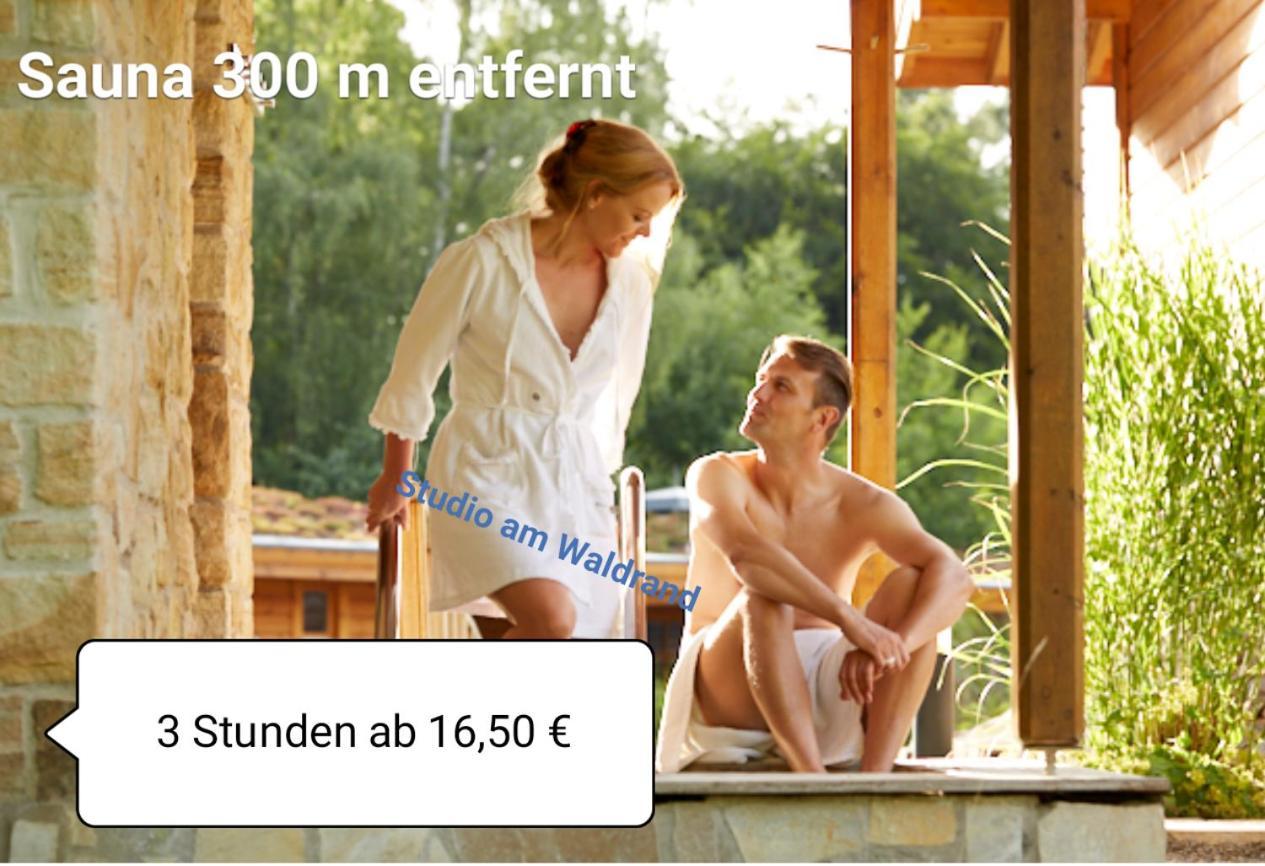 Studio Am Waldrand Wadgassen Bagian luar foto